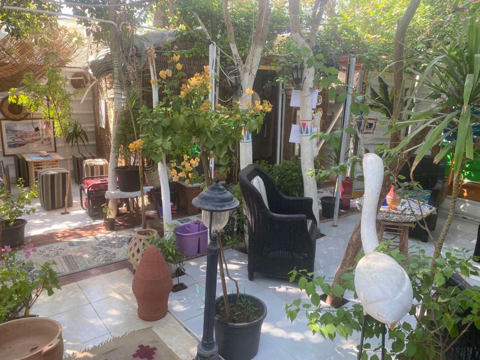 Peace Garden & Camp