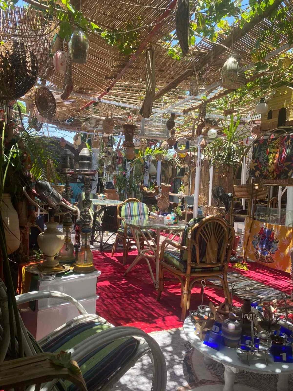 Peace Garden & Camp Luxor